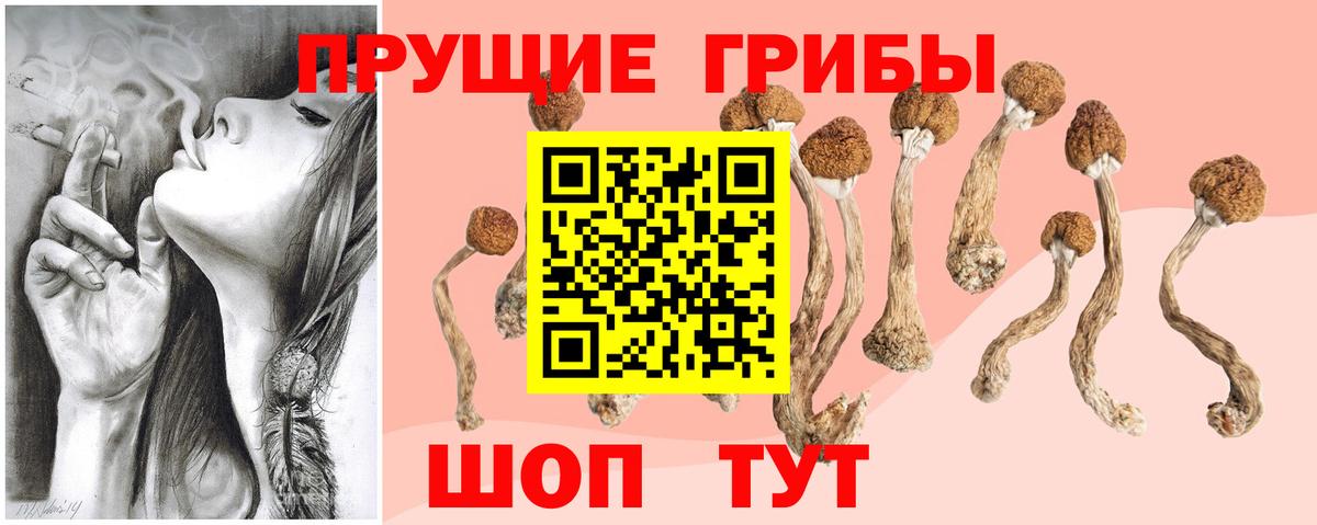 Псилоцибиновые грибы MAGIC MUSHROOMS  Вход с VPN  Шелехов 